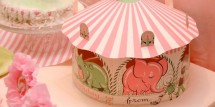 pinkcircus 080