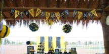 1hannahs_bumble_bee_party_may_2010_016