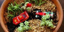 Cars4