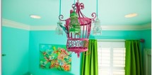 Little_crown_birdcage_nurse