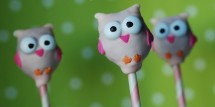 Owl_Cake_Pops_21_007_copy