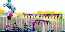 ashleys_zebra_party_oct_09_035
