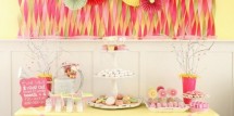 evie-party-11