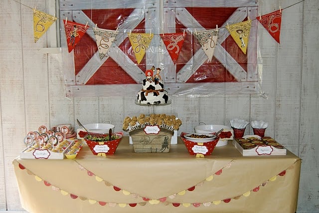 Toy Story: Cowgirl/Cowboy Party - Design Dazzle