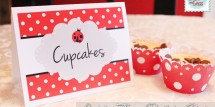 ladybug-birthday-party2