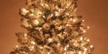 painted-christmas-tree