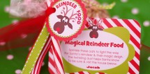 reindeer_food6