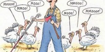 thanksgiving-funny1