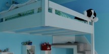 loft bed