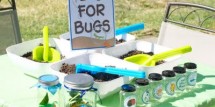 dig for bugs