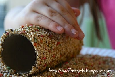 Toilet Paper Roll Bird Feeders - Featured on Design Dazzle