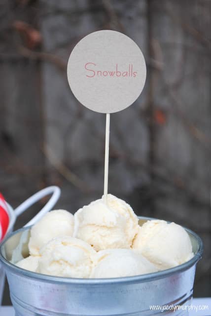 Scoops of ice cream for snowballs at your root-deer float station