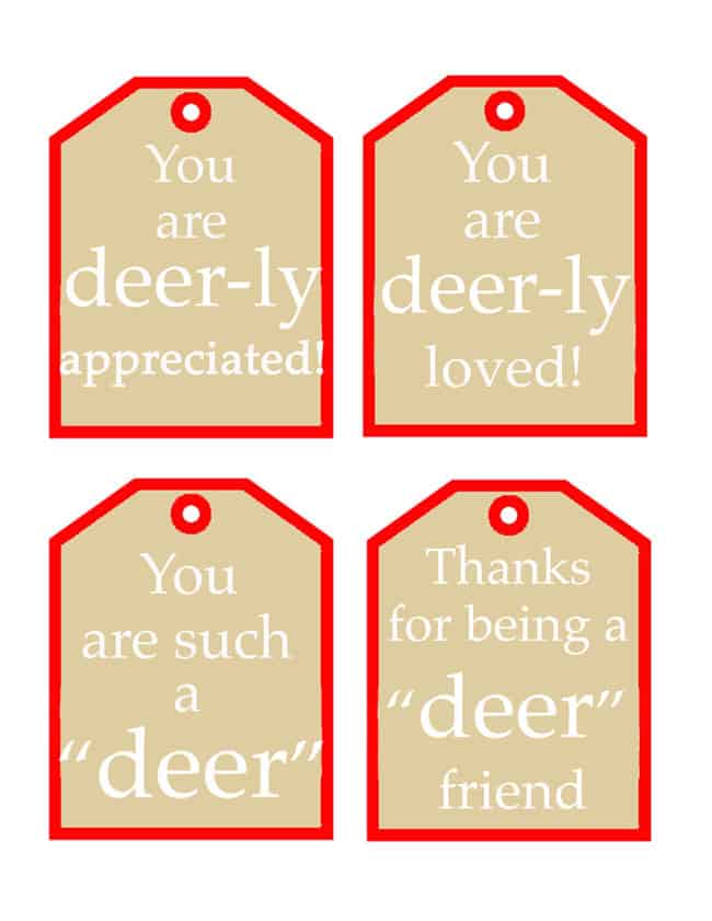 Deer Tag Printables for the perfect finishing touch on your Christmas Gifts! Design Dazzle