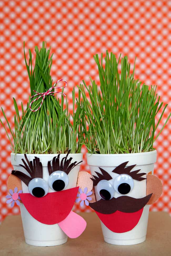 Grass Heads! Fun Summer Craft!