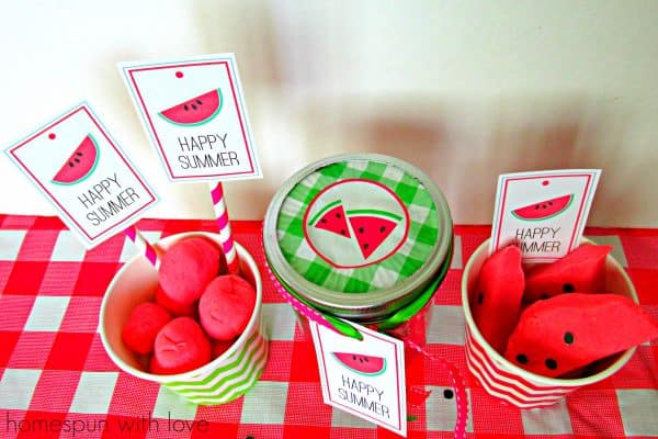 summer camp ideas: watermelon play dough