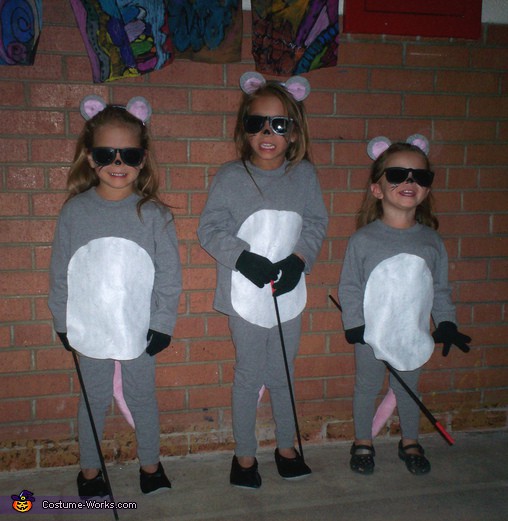 3 blind mice costume
