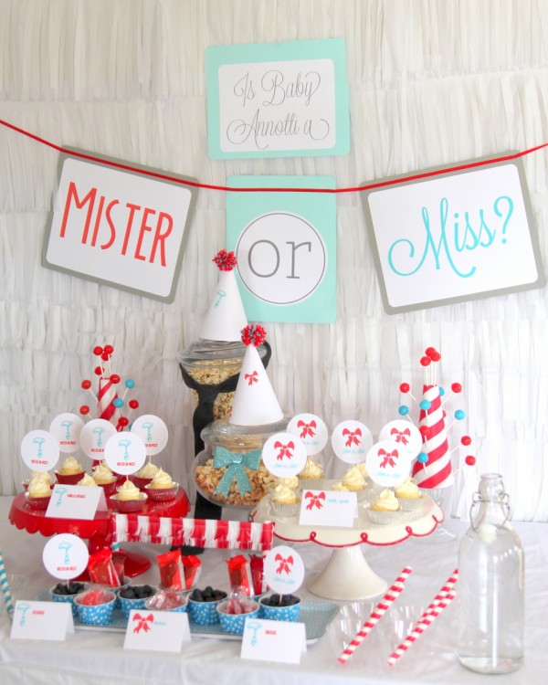 Mister or Miss Gender Reveal party