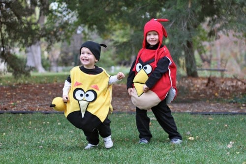 Angry Birds Costumes for Siblings