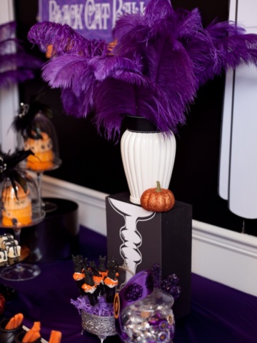 purple feather display