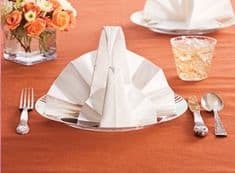 folidng turkey napkins