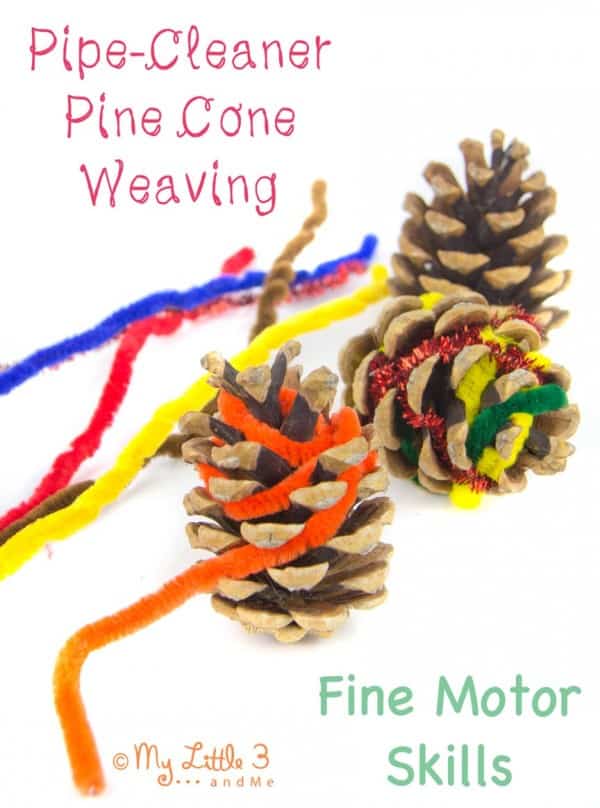 Create some cool pinecones with pipe cleaners for a fun indoor winter activity