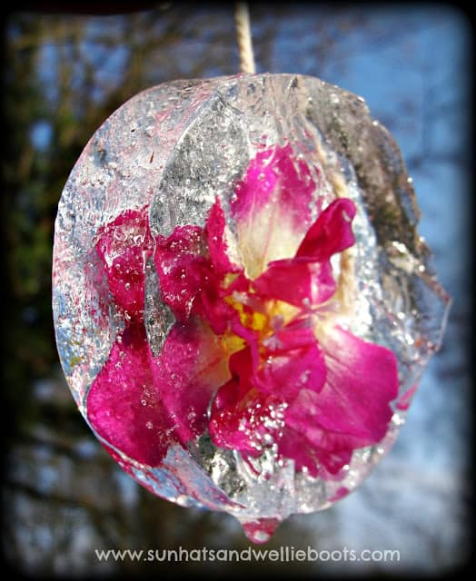 Create beautiful ice creations to hang in your yard for a fun winter activity