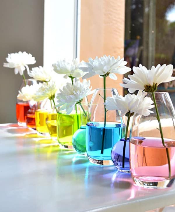 Flower Science Experiment to create a fabulous springtime bouquet!!