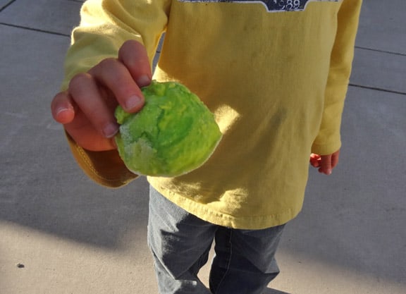Leprechaun Rocks! Fun science experiment for St. Patrick's Day!