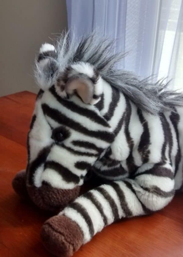 zebra inspiration