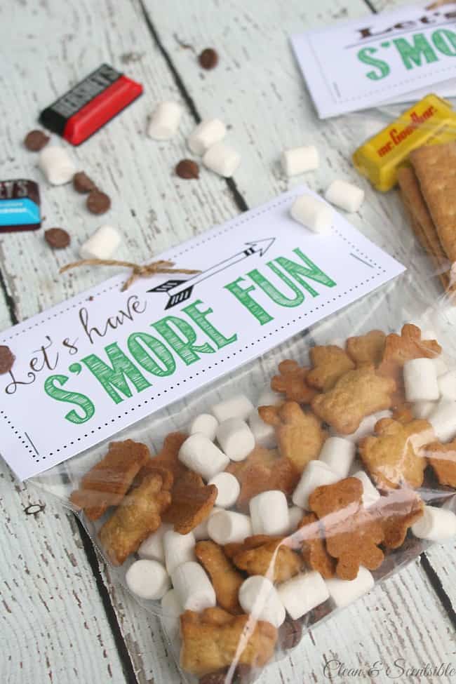 Fun outdoor scavenger hunt and s'mores treat toppers with free printables included! This would be fun for an outdoor party or camping trip.