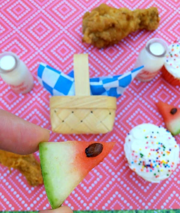 tiny picnic watermelon