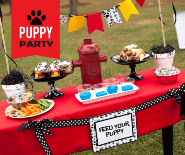 puppy party on a budget