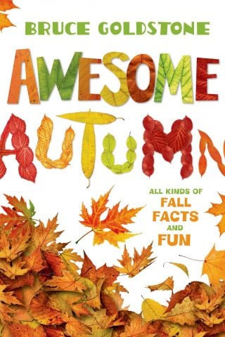 awesome autumn - a book about fall