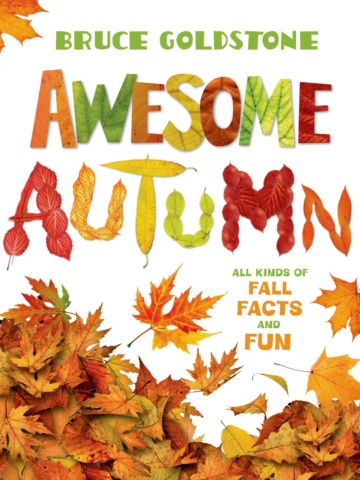 awesome autumn - a book about fall