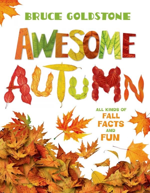 awesome autumn - a book about fall