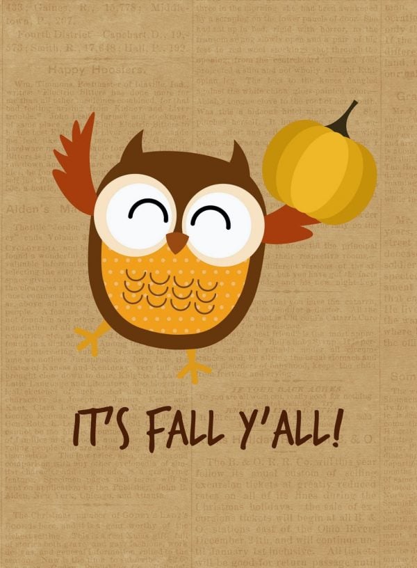 adorable owl fall printable