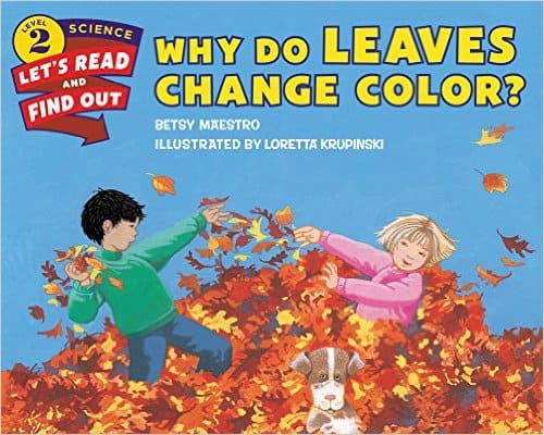 Why Do Leaves Change Colors - a book about fall