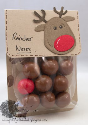 Reindeer Noses! Darling Christmas Gift!
