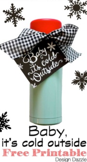 Baby It's Cold Outside! Easy Gift Idea and Free Printable - Design Dazzle