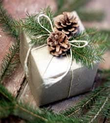 Fun Gift-Wrapping Ideas at Design Dazzle.