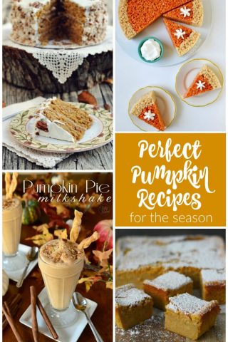 Delicious and perfect pumpkin recipes for the season that are sure to please!