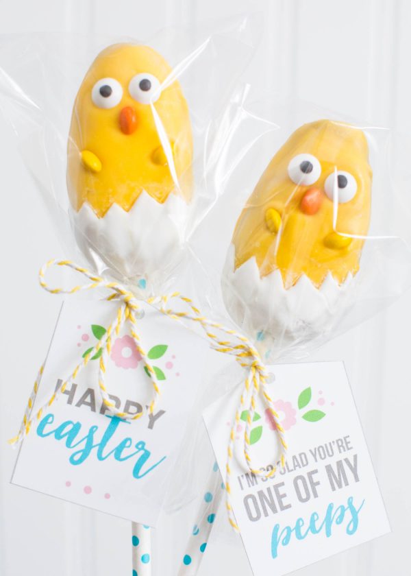 Collection of Easter Sweets and Adorable Treats! Kids will love these delicious DIY desserts! #easter #dessert || Design Dazzle