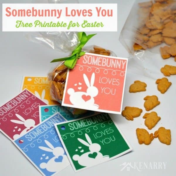 Somebunny Loves You Free Printable!