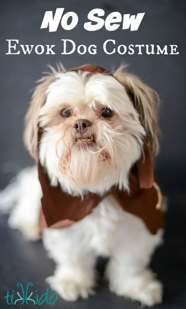 Ewok No Sew Dog Costume Tutorial