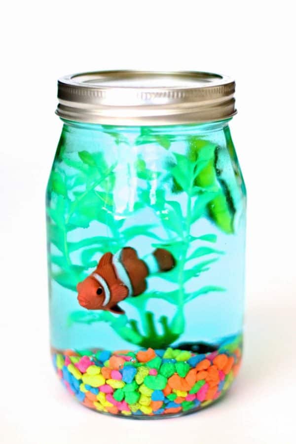 DIY Glass Mason Jar Aquarium Creative Craft Idea