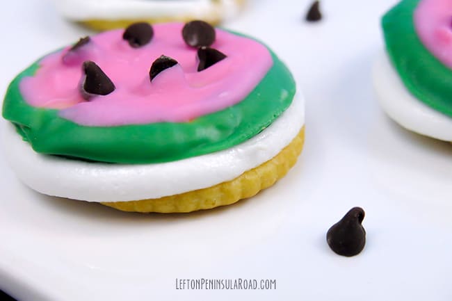 Watermelon S'mores Treat with Chocolate Chip Seeds