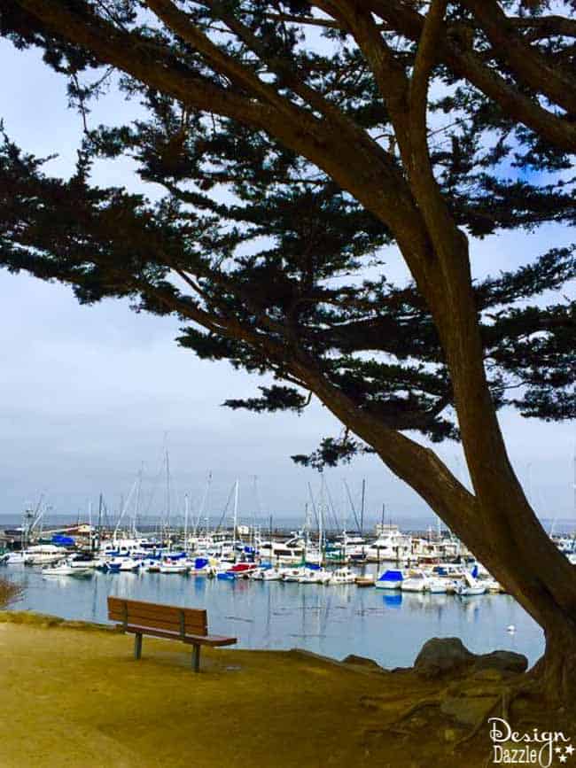 Tips for spending a weekend in Monterey, California | Design Dazzle