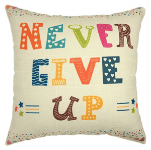 Pillows are the perfect way to freshen up your room without having to spend a lot of money. All 25 of these quote pillow covers are under $20! | Design Dazzle