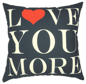 Pillows are the perfect way to freshen up your room without having to spend a lot of money. All 25 of these quote pillow covers are under $20! | Design Dazzle