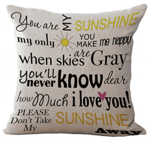 Pillows are the perfect way to freshen up your room without having to spend a lot of money. All 25 of these quote pillow covers are under $20! | Design Dazzle